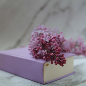 PrimeLens Photography